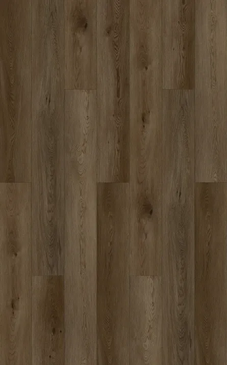 XD5006 roomscene
