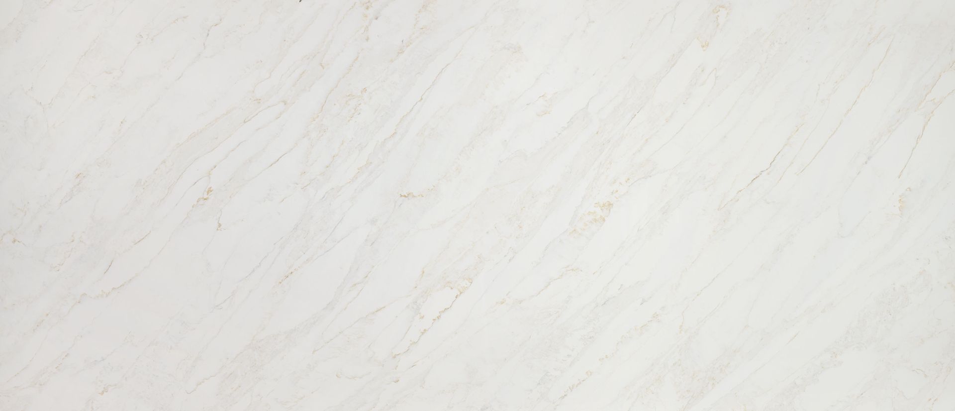MSI Calacatta Premata quartz full slab