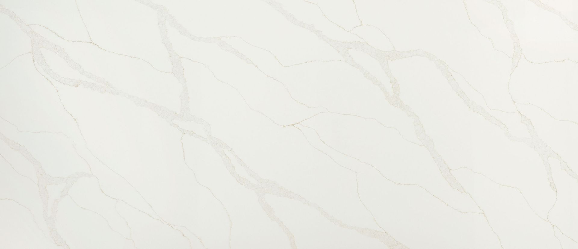 MSI Calacatta Elysio quartz slab
