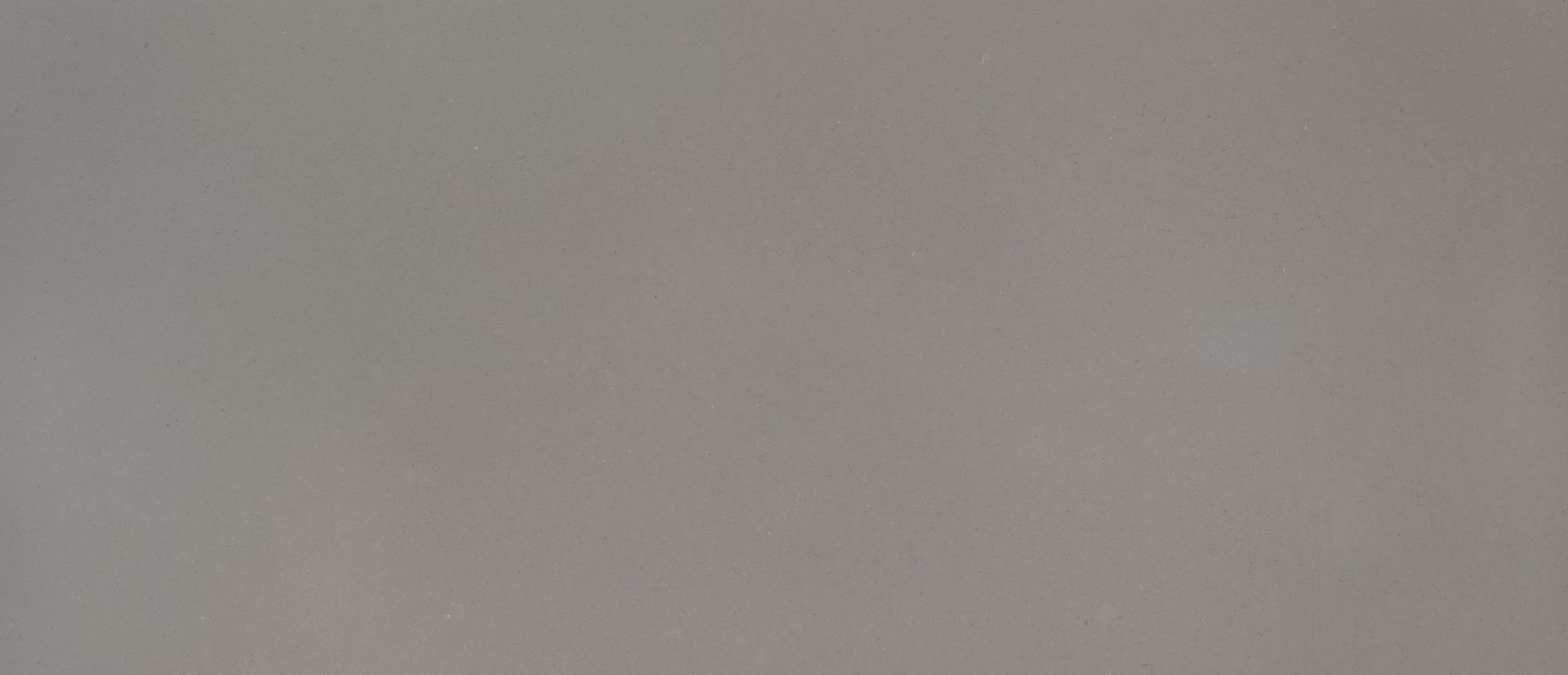 MSI Fossil Gray quartz slab
