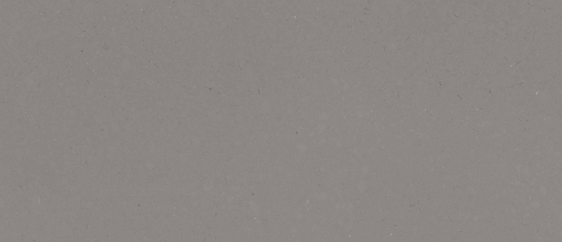 Close-up of Fossil Gray quartz pattern